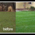 beforelawnafter-sods-2